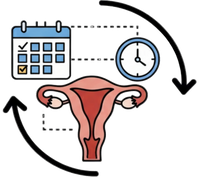 Equilibrio hormonal